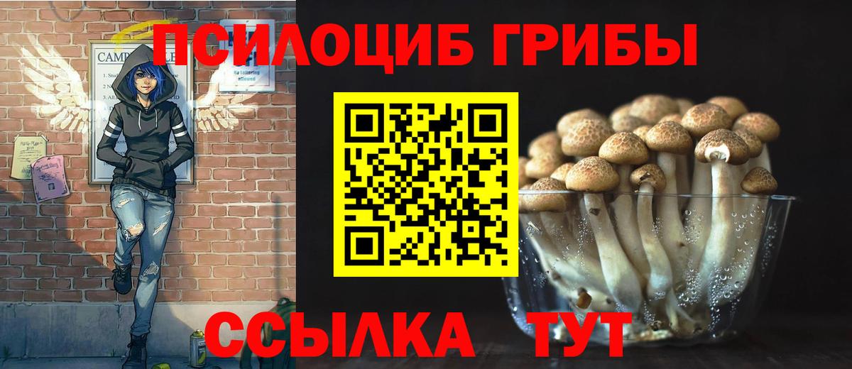Кропоткин  Галлюциногенные грибы Psilocybine cubensis  Вход с VPN 